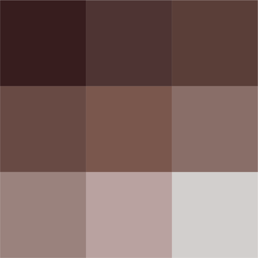 Logo-colors_Browns