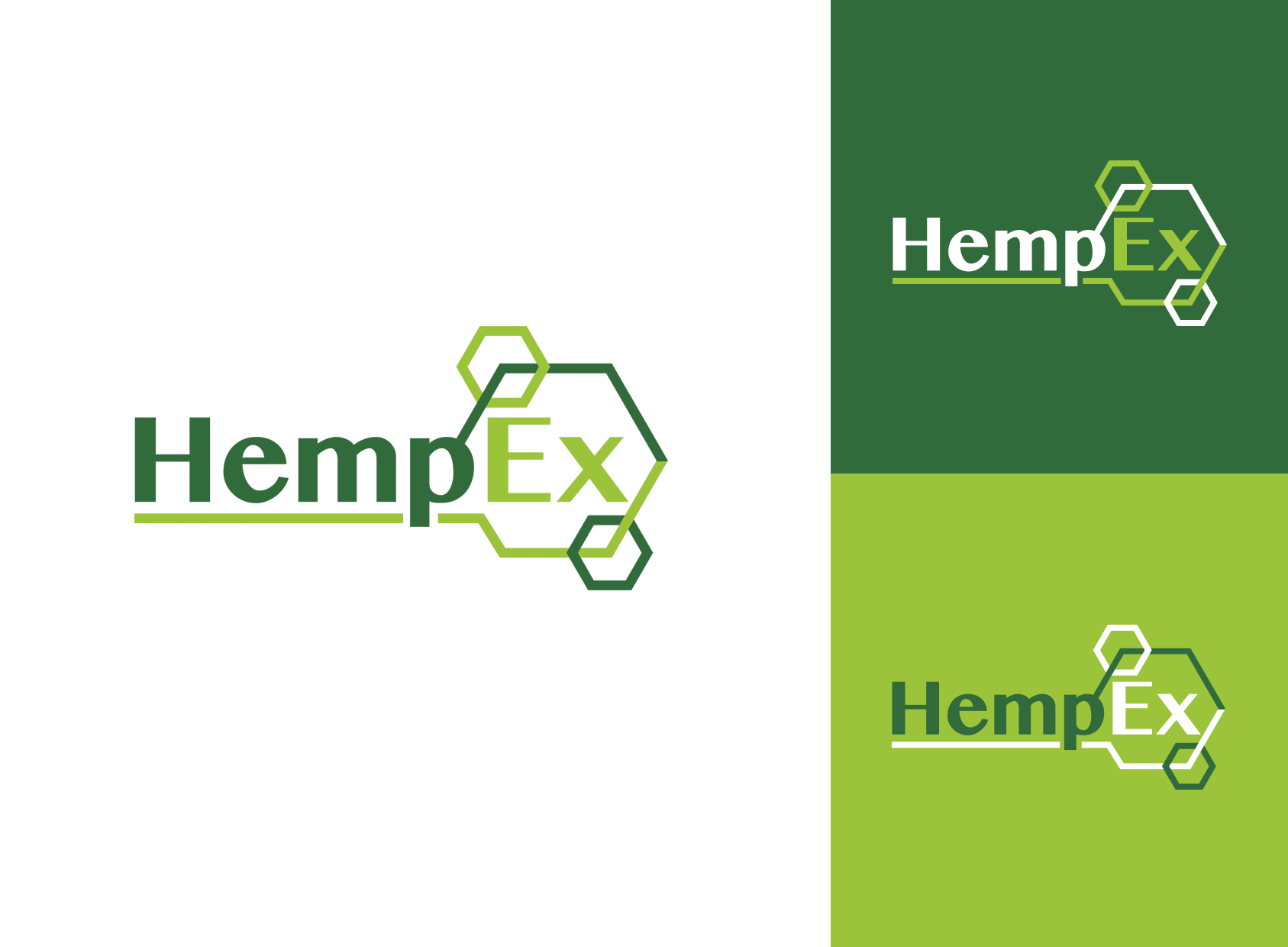 logo brand design hemp