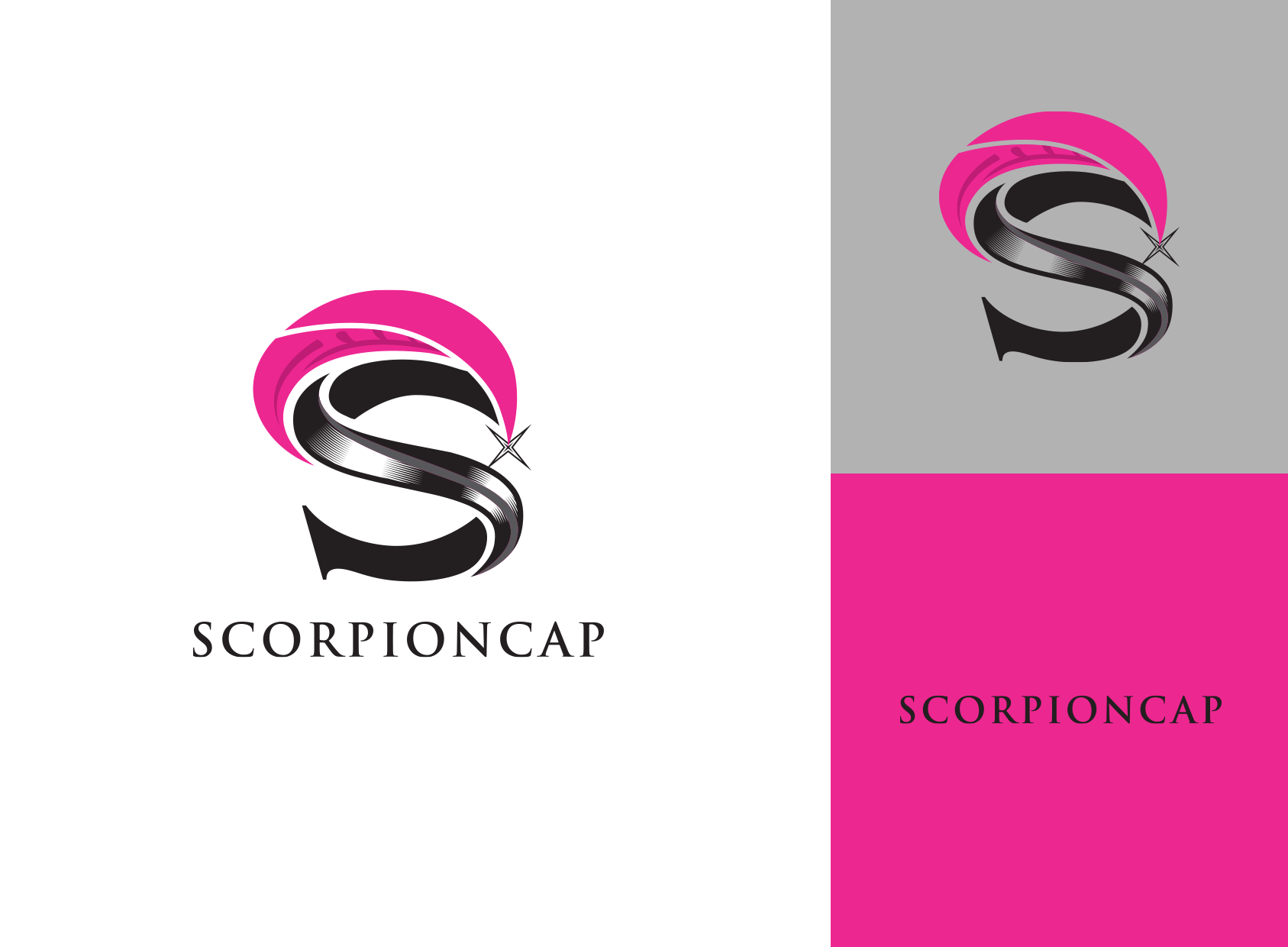 logo system for shower cap company