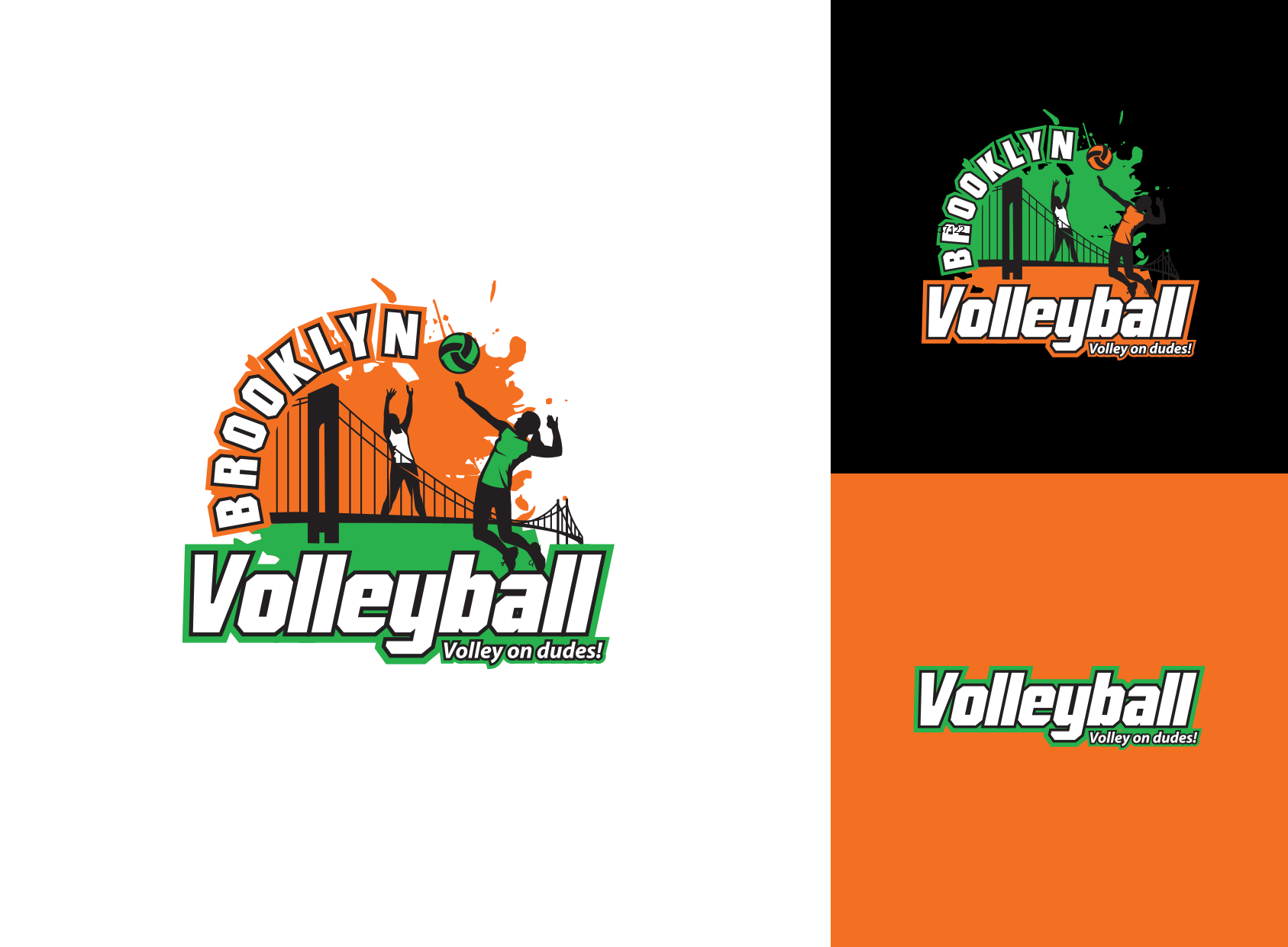 logo system for volleyball team