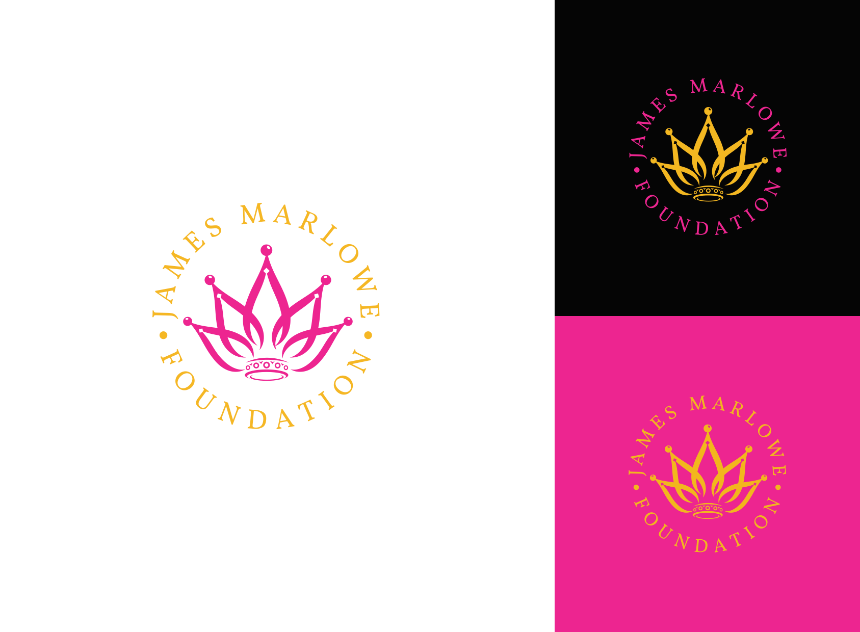 logo system for non profit organization