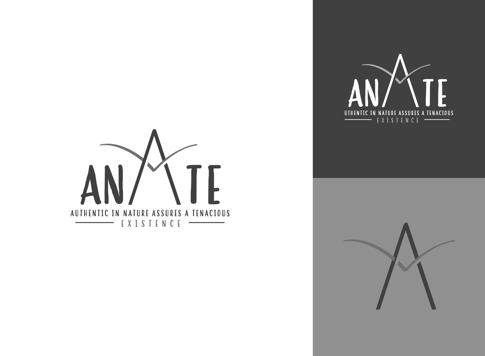 logo system for fashion company