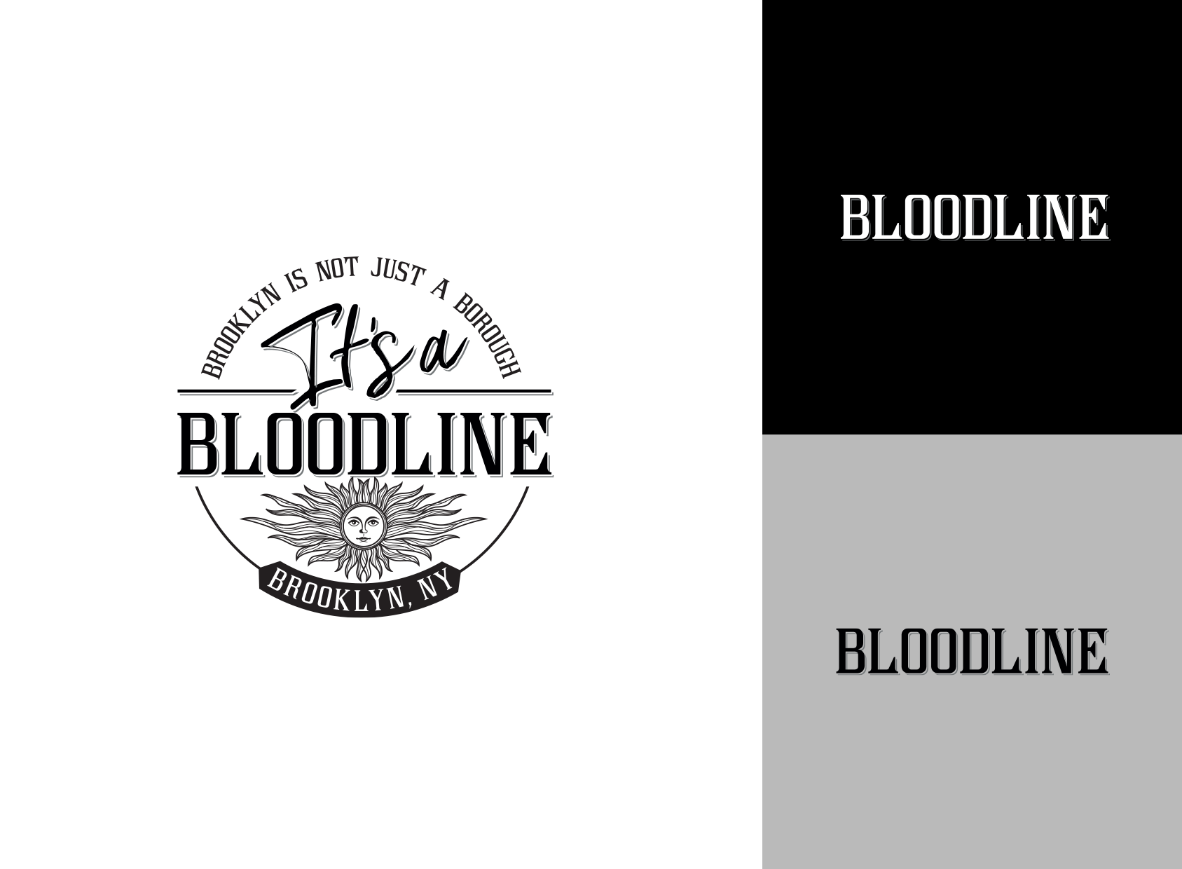 logo system for clothing company