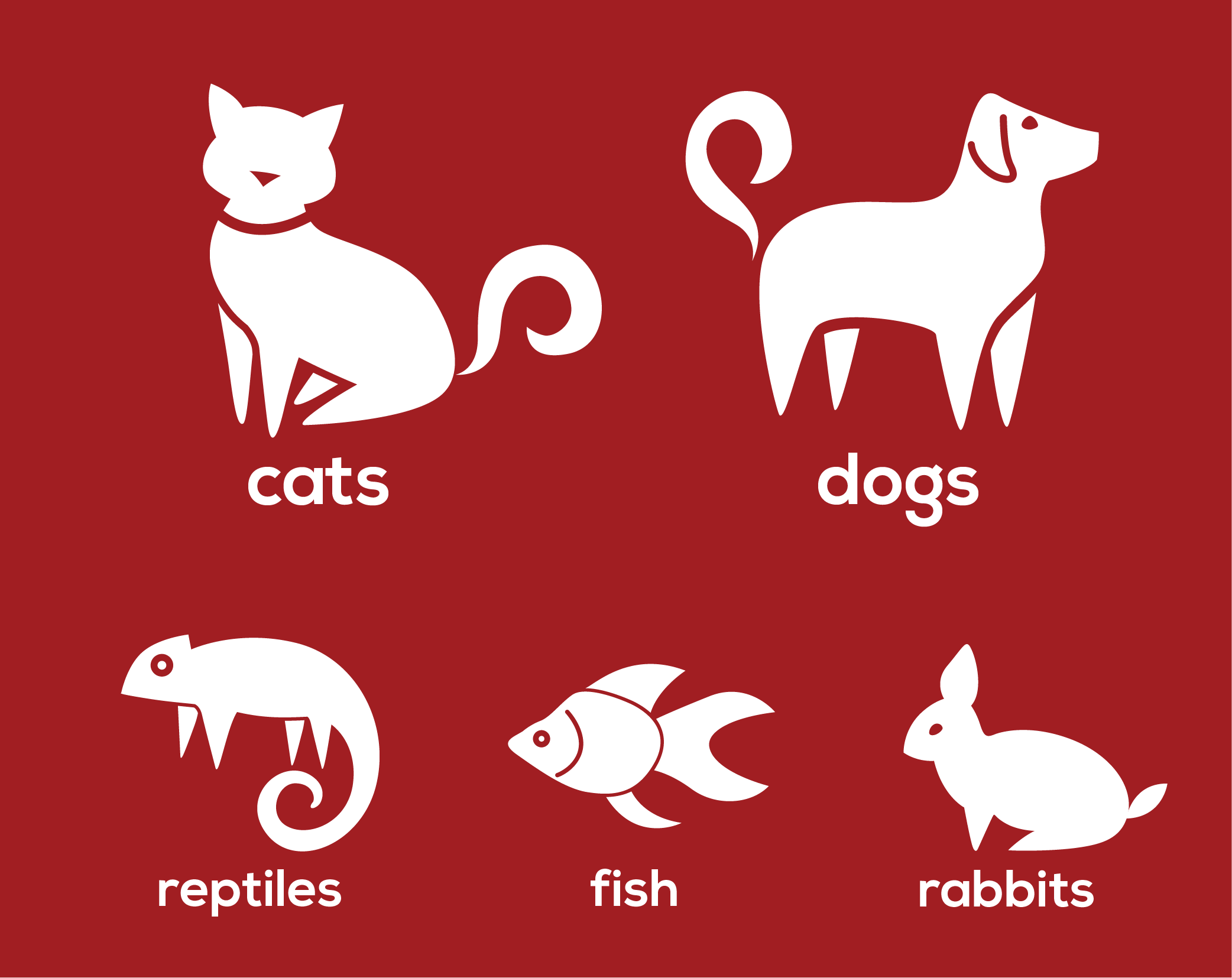 custom pet store icons