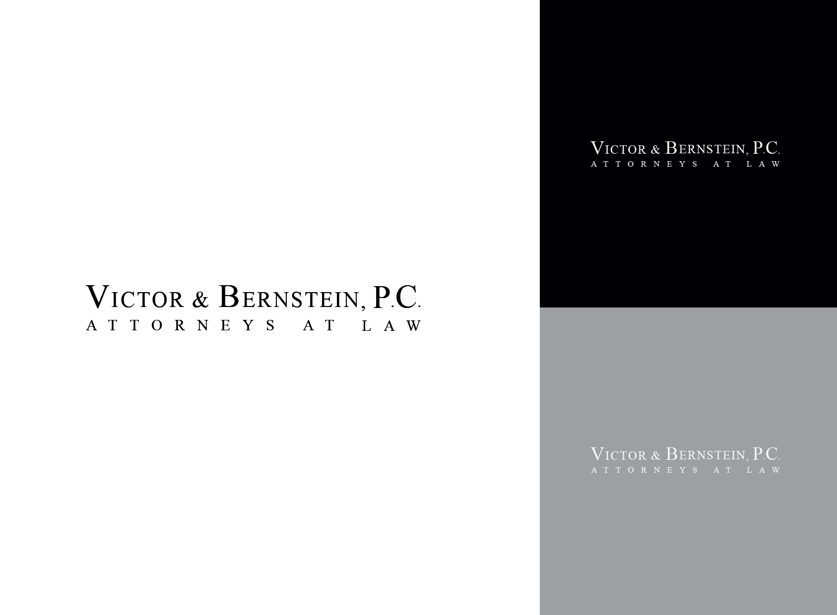 logo system for law firm