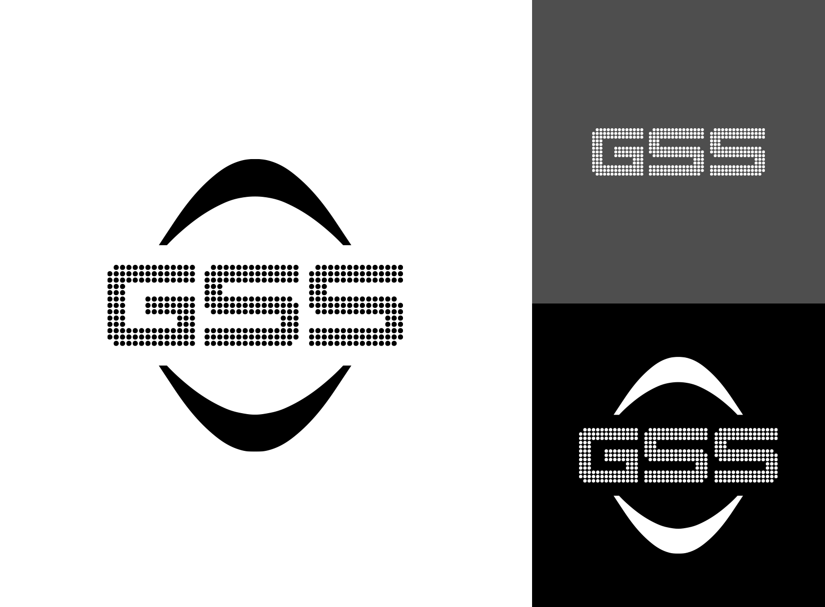 Logo system for sunglasses company
