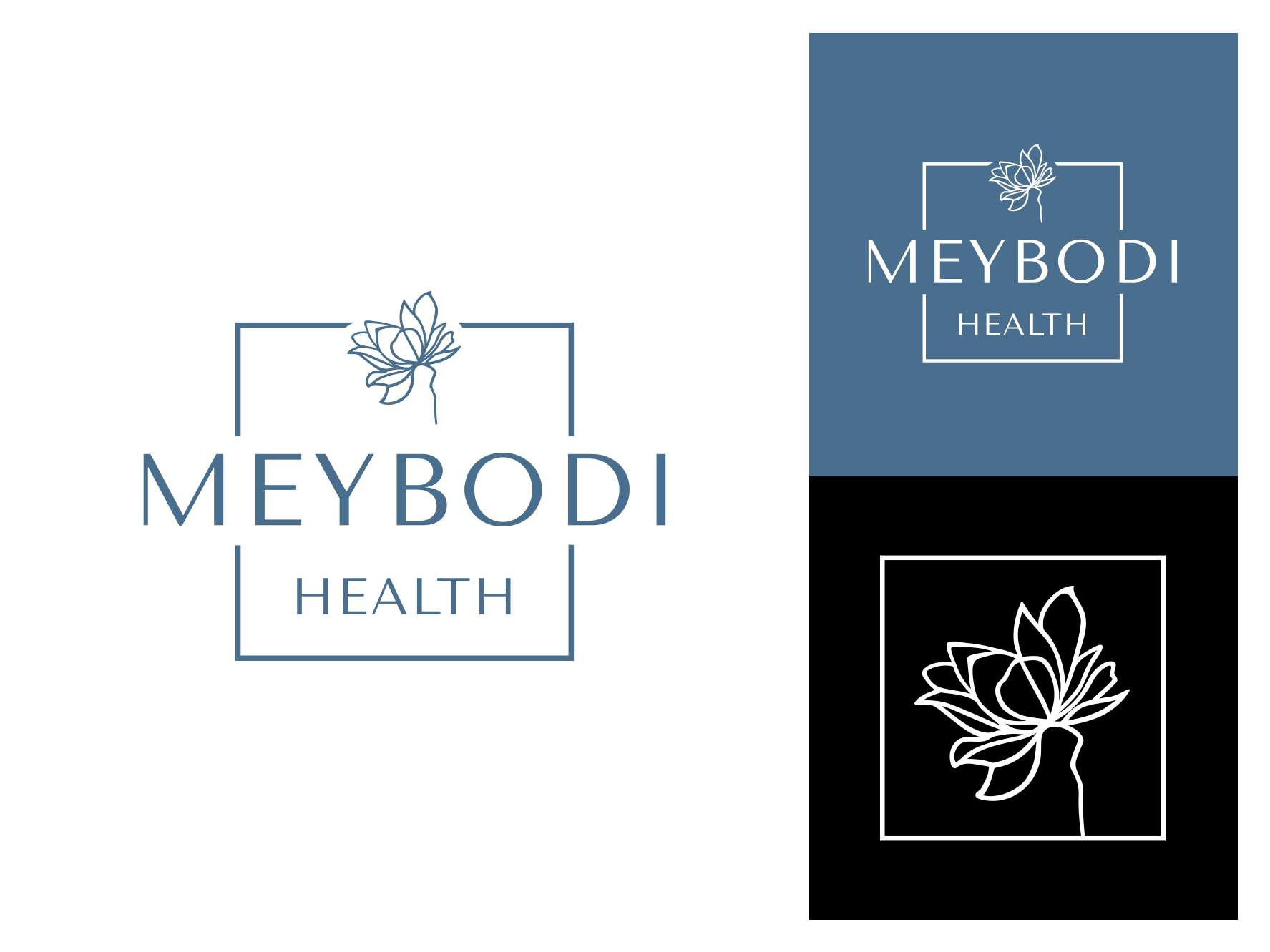 Logo system for medical company