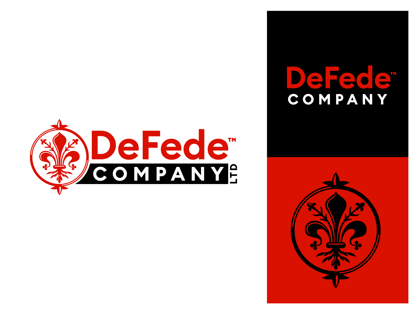 Logo system for a financial logo