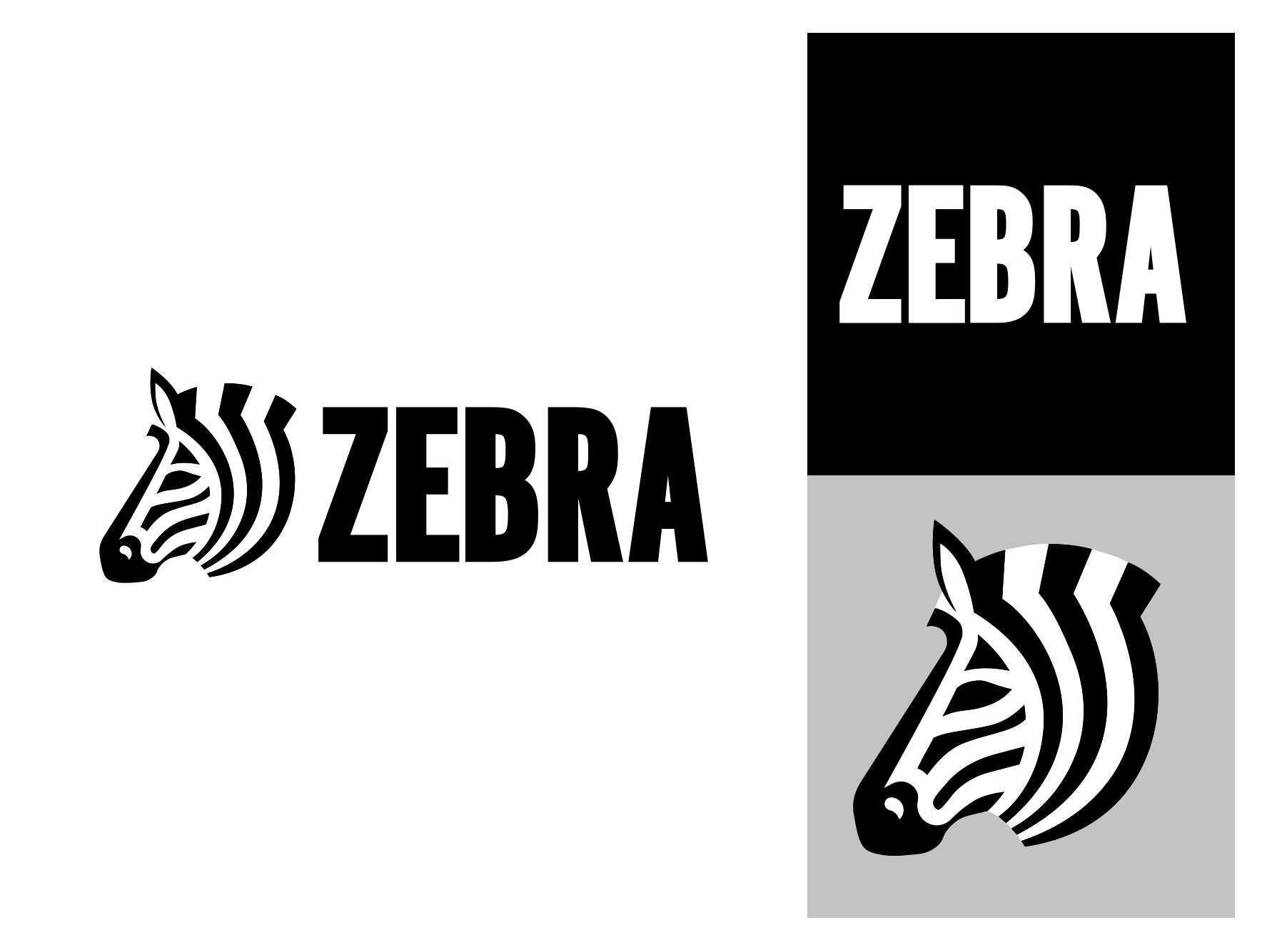 Logo system for a tech logo