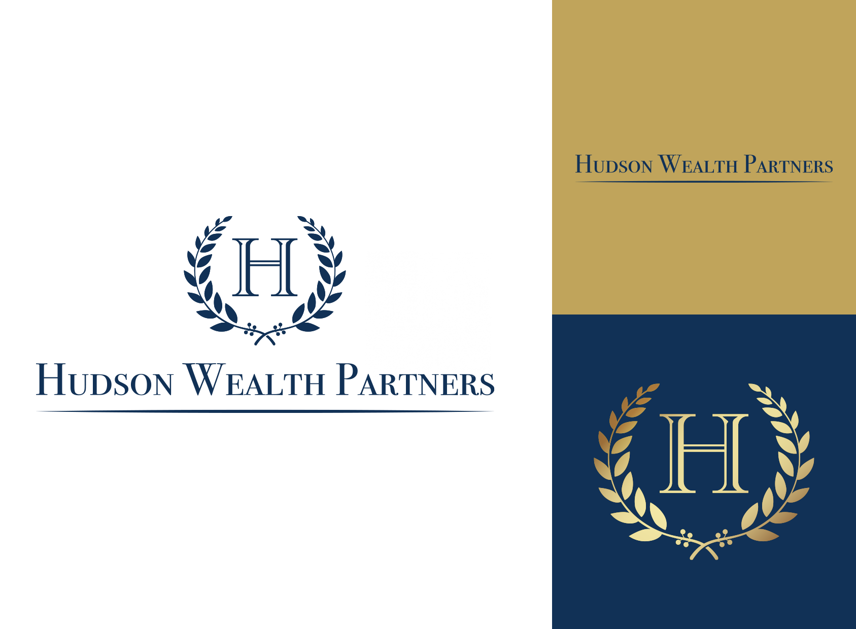 logo system for wealth advisor firm